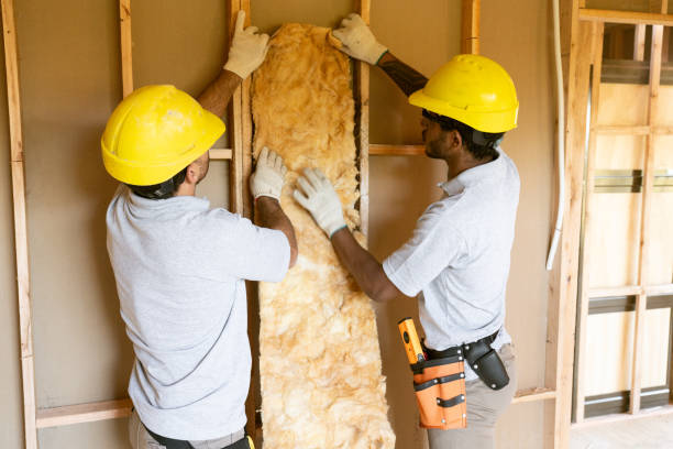 Types of Insulation We Offer in Makaha, HI